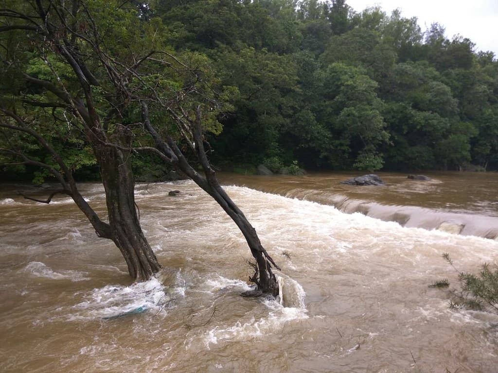 Kodachadri Hills Backdrop