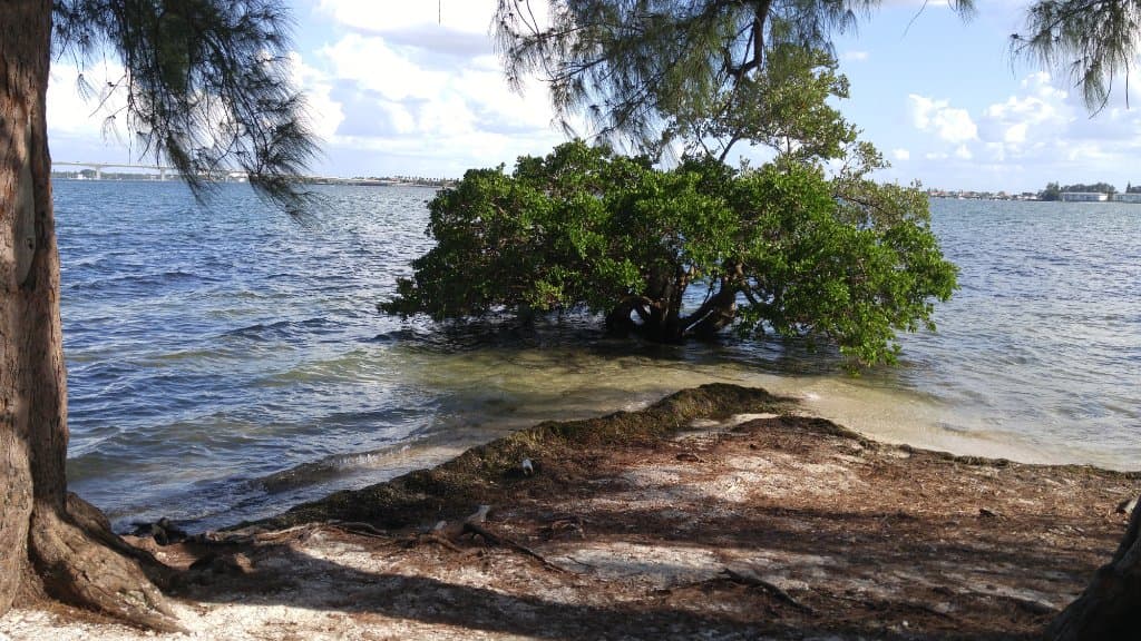 Looking out in the bay