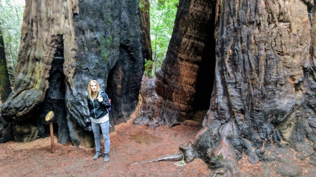 Fall Creek Unit & Lime Kilns