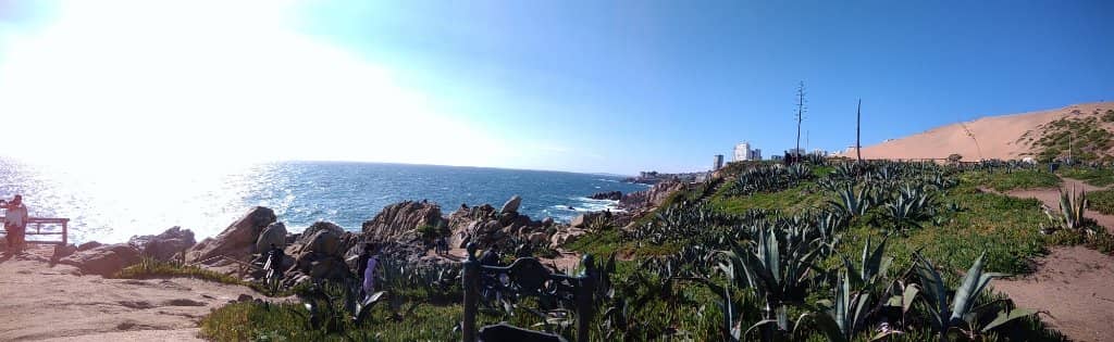 Sandboarding Adventure