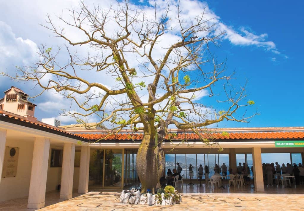 Prehistoric Grotto Exploration