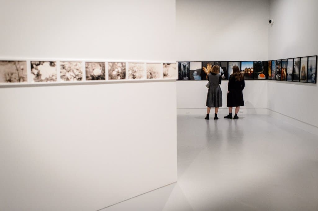 Gavin Hipkins: The Domain - Opening night November 2017. Photo: Mark Tantrum