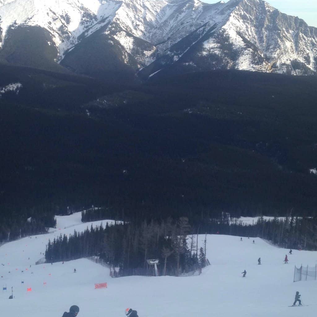 Groomed Beginner Slopes