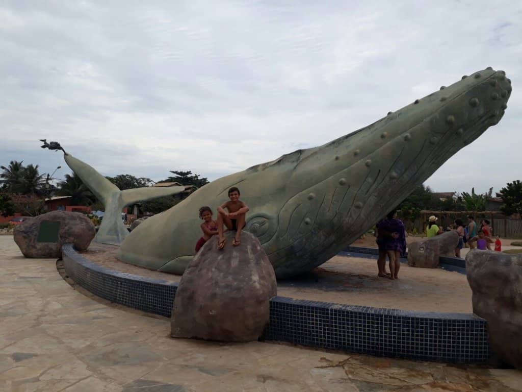 Whale Watching Opportunities