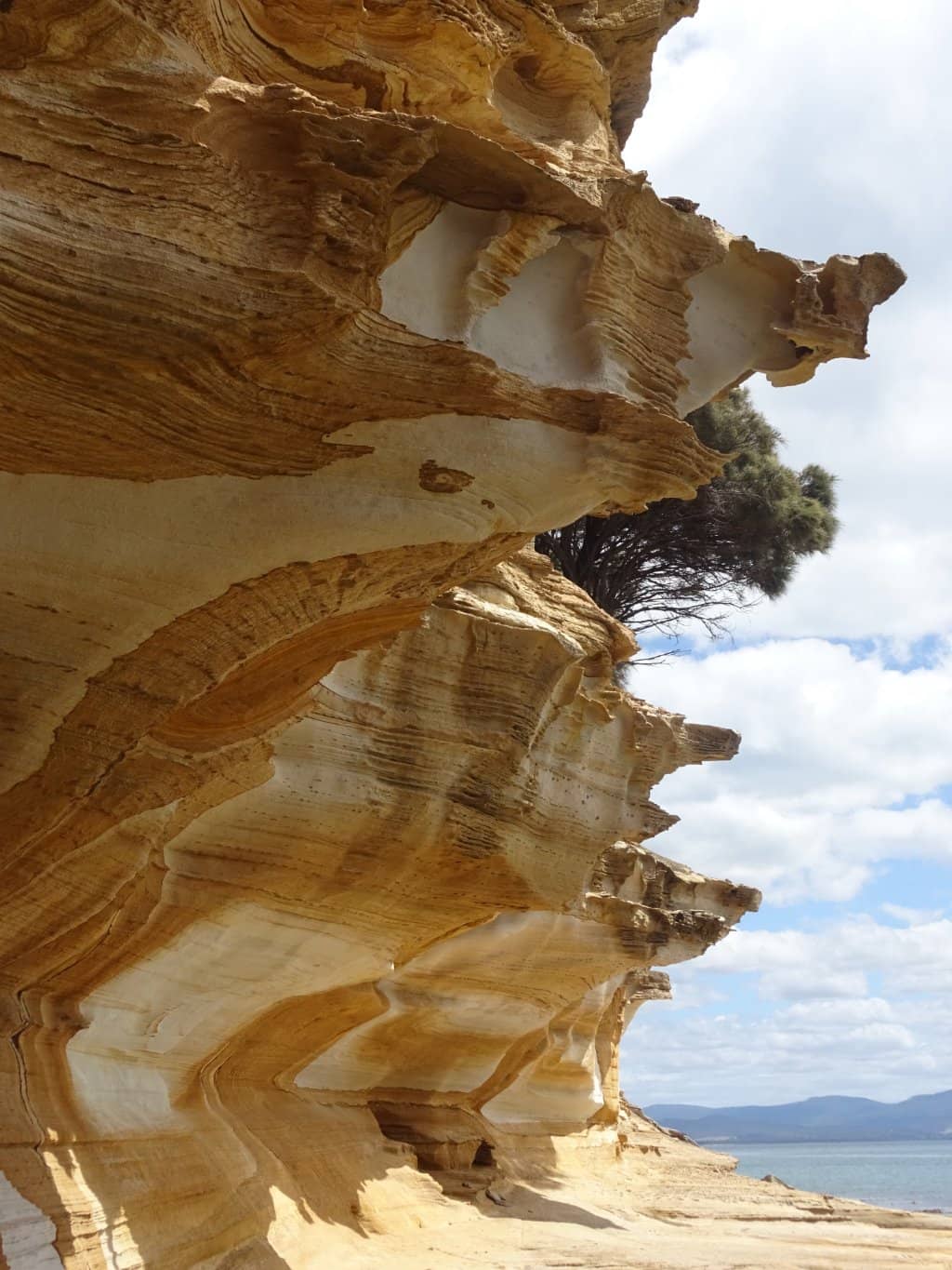 Fossil Cliffs