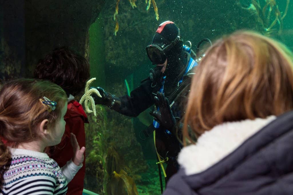 Baby Shark & Skate Exhibit
