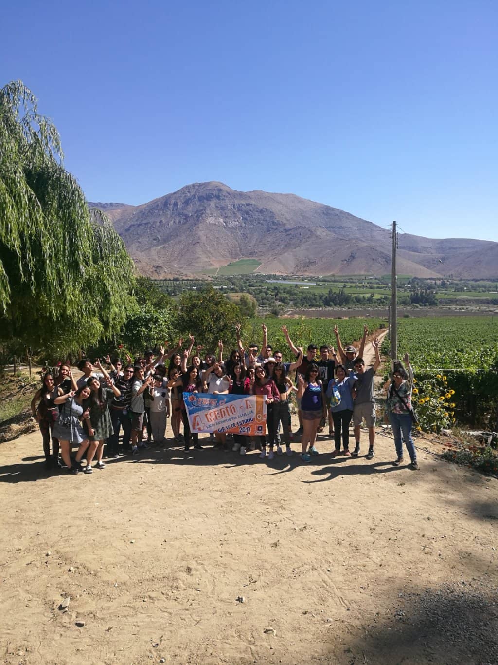 Pisco Tasting Experience