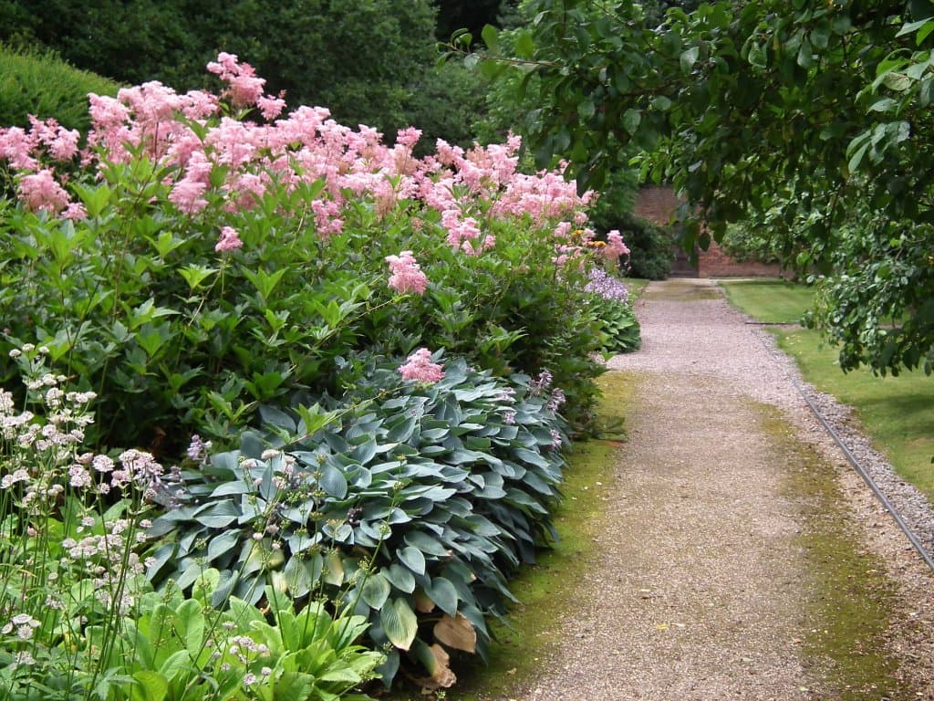Borders in the kitchen garden.