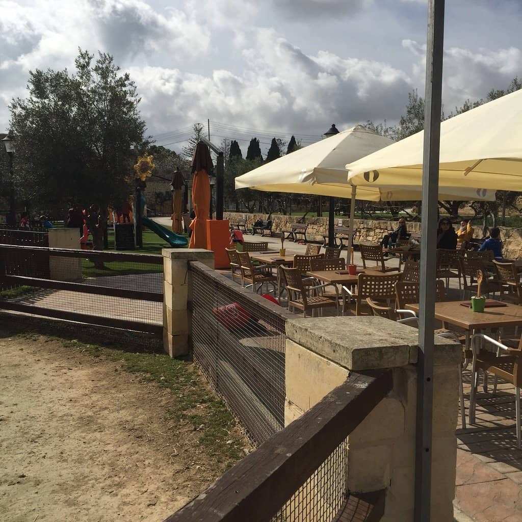 Fresh Garden-to-Table Breakfast