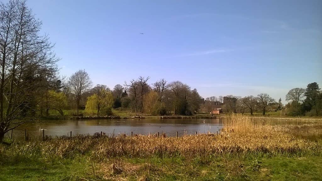 St. Nicholas' Church & Abbey Ruins