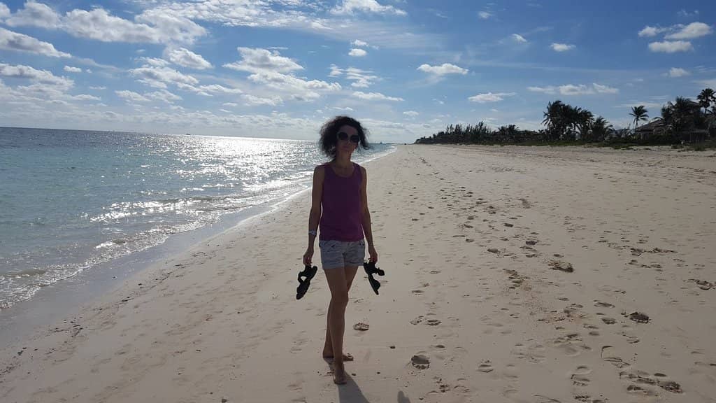 Ephemeral Sandbars