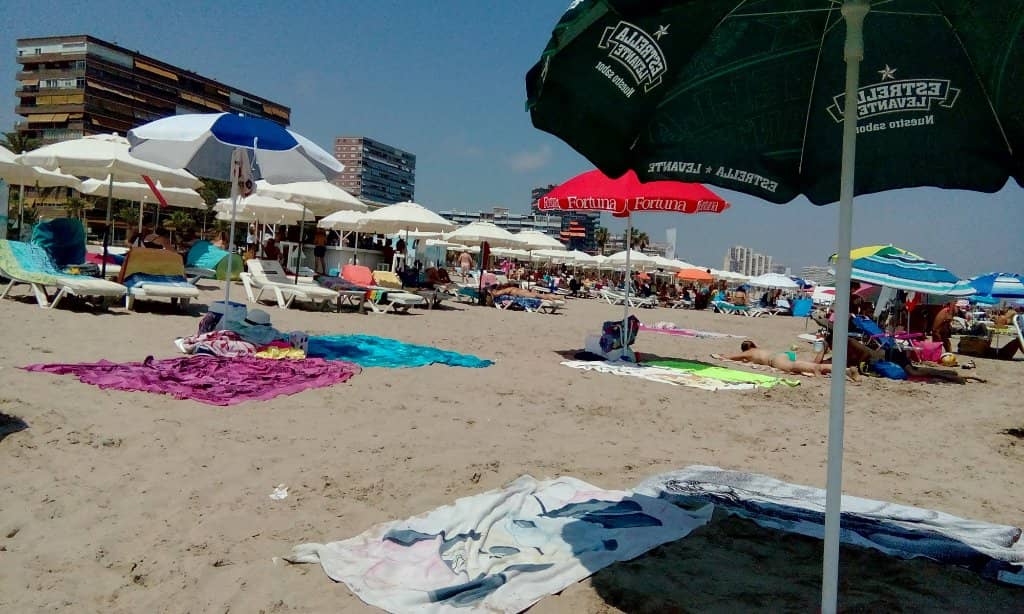 Family-Friendly Environment