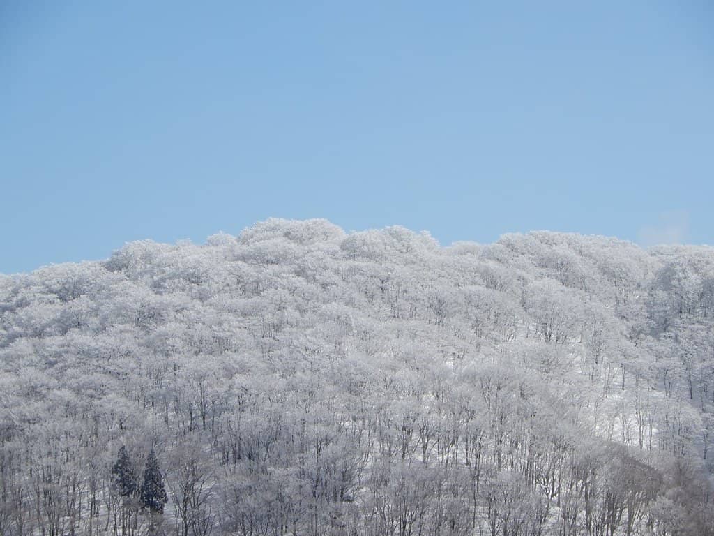 Snow Sliding Descent
