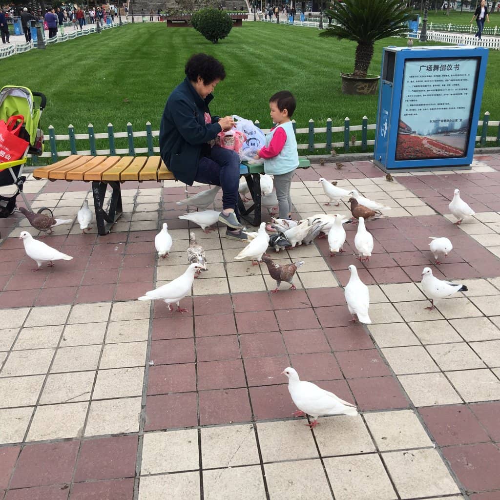 Central Plaza Ambiance