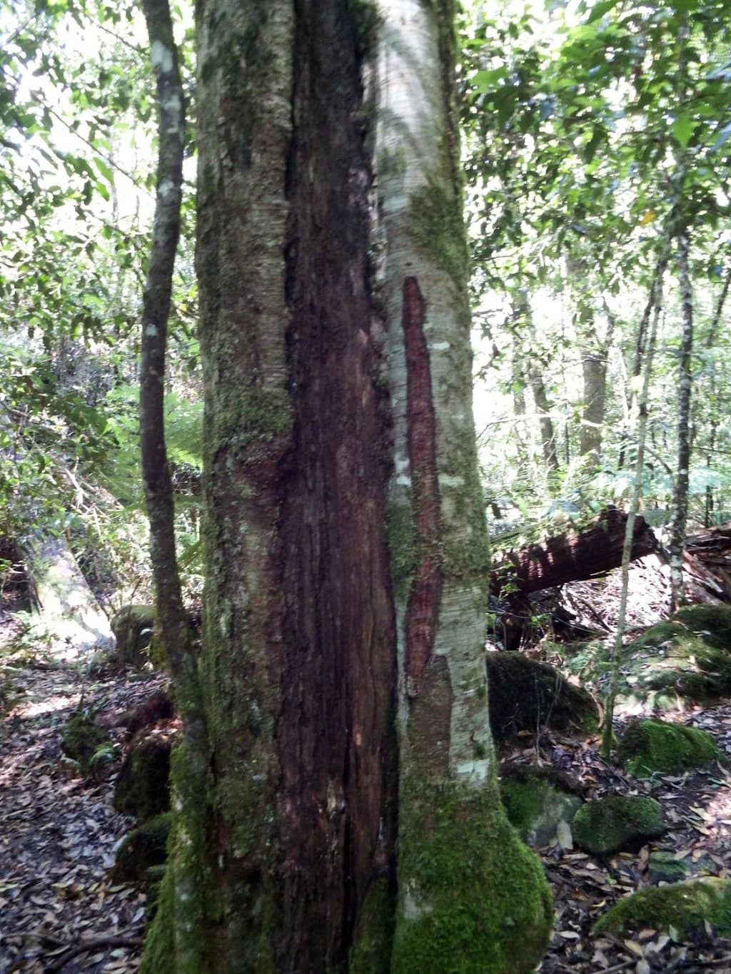 Vertical photo