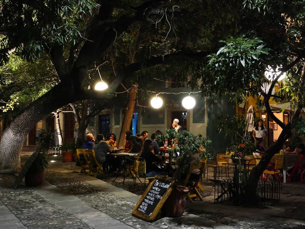 Culinary Exploration