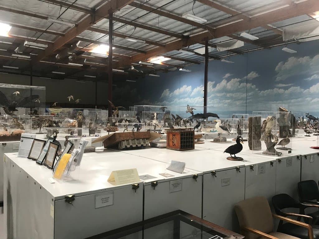 I love this shot of the room!