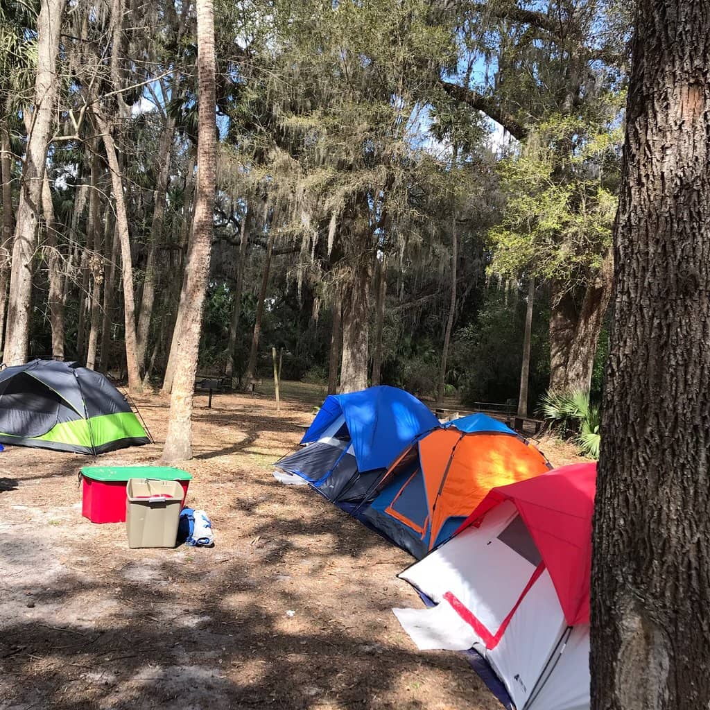 Dog Park Haven