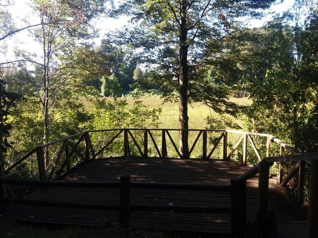Parque Urbano El Bosque