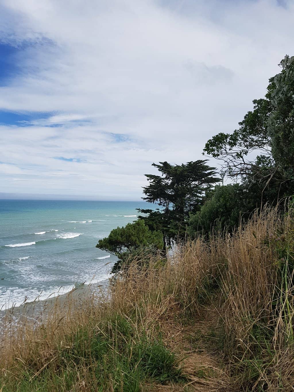 High Tide Beauty