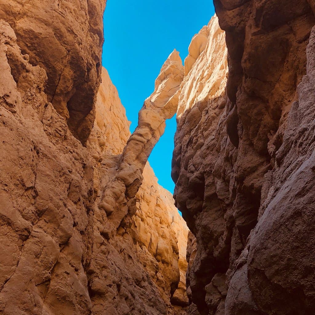 The Slot