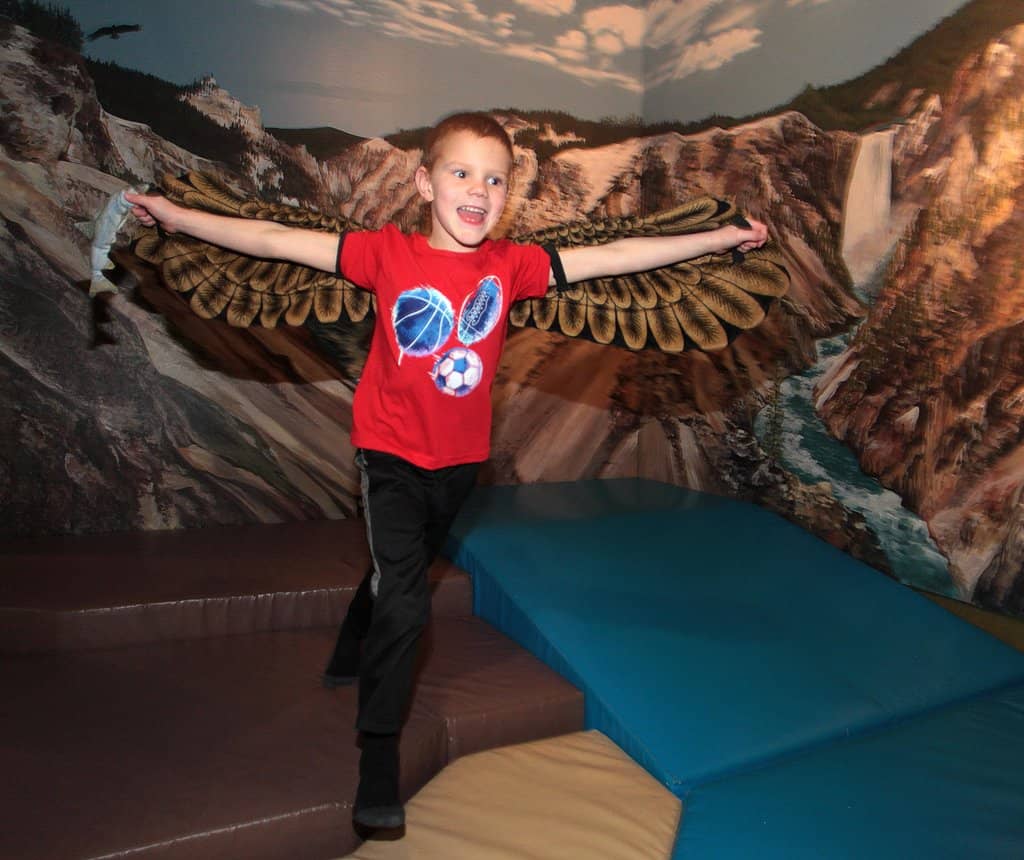 Regional History Exhibits