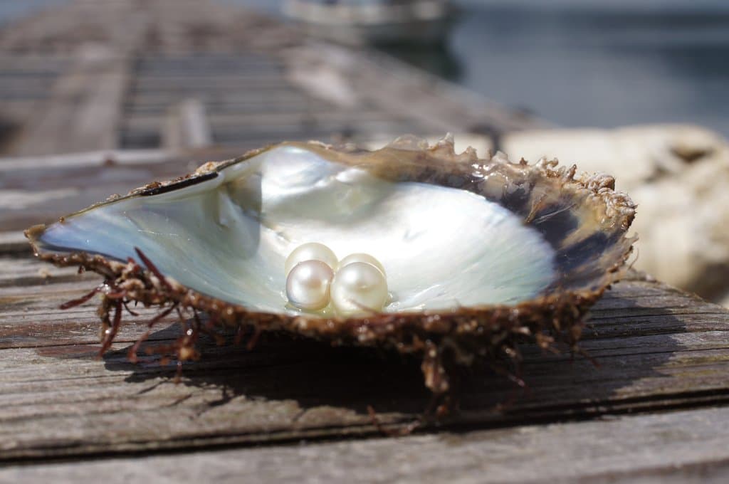doi pearl farm uwajima | pearls