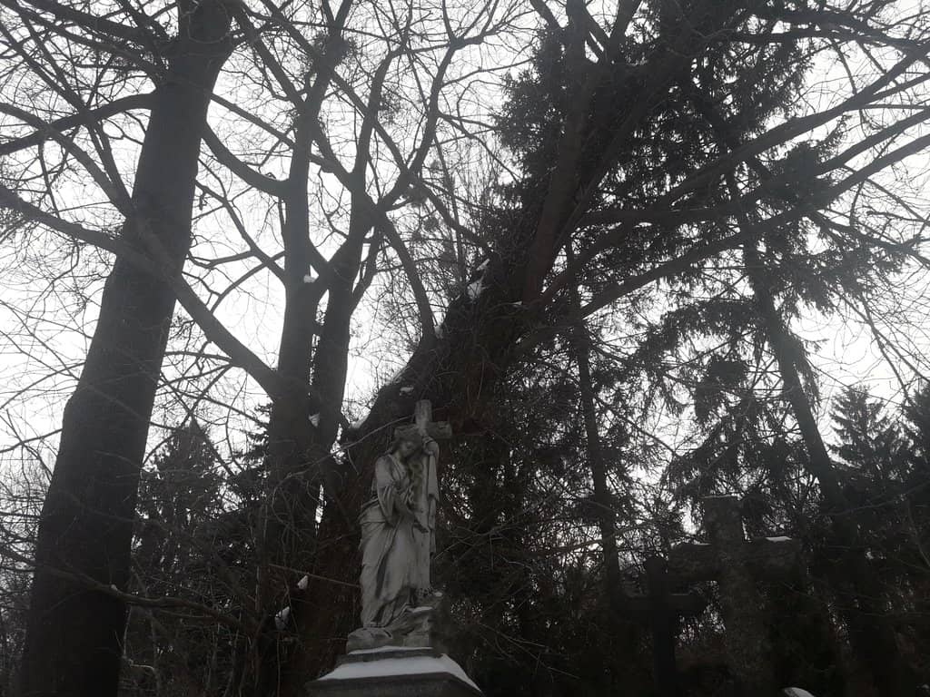 Vertical photo