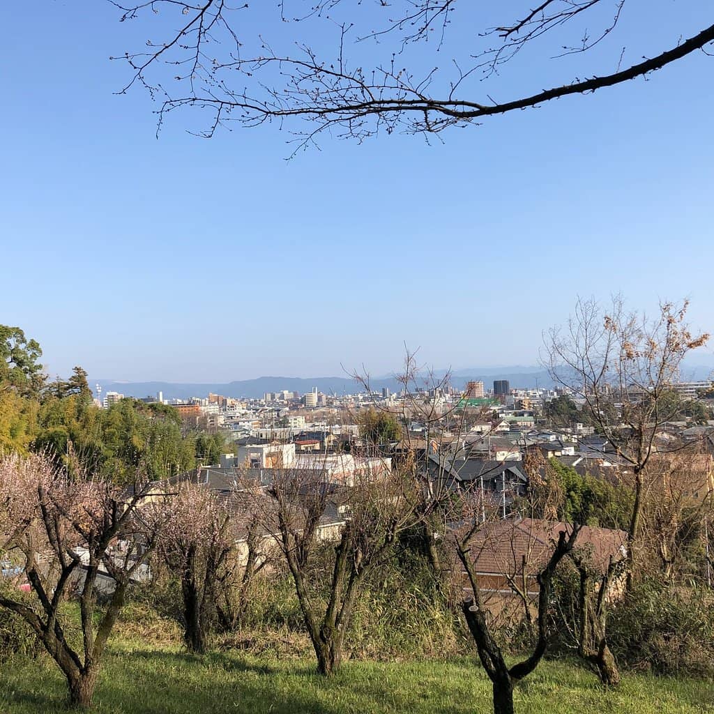 Miyamoto Musashi's Grave