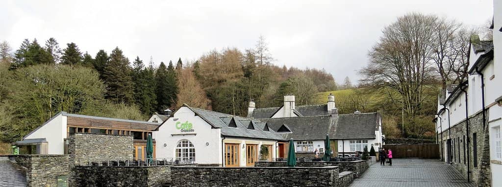 Go Ape Treetop Adventure