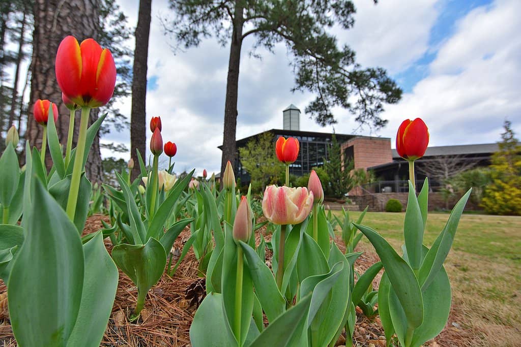 Children's Garden Adventures