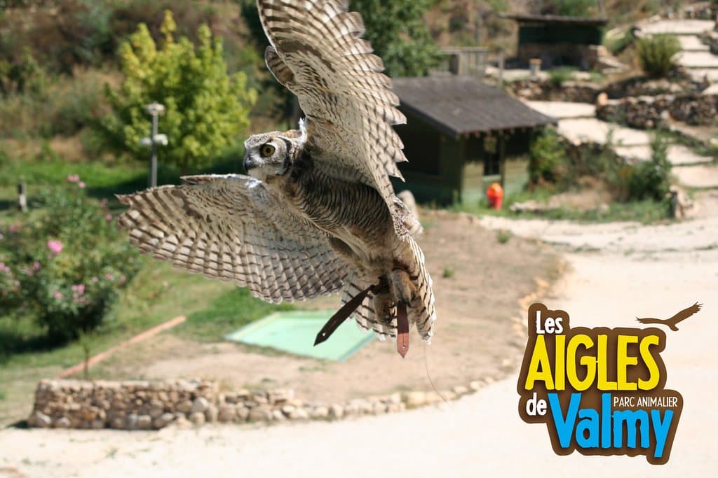 Les Aigles de Valmy