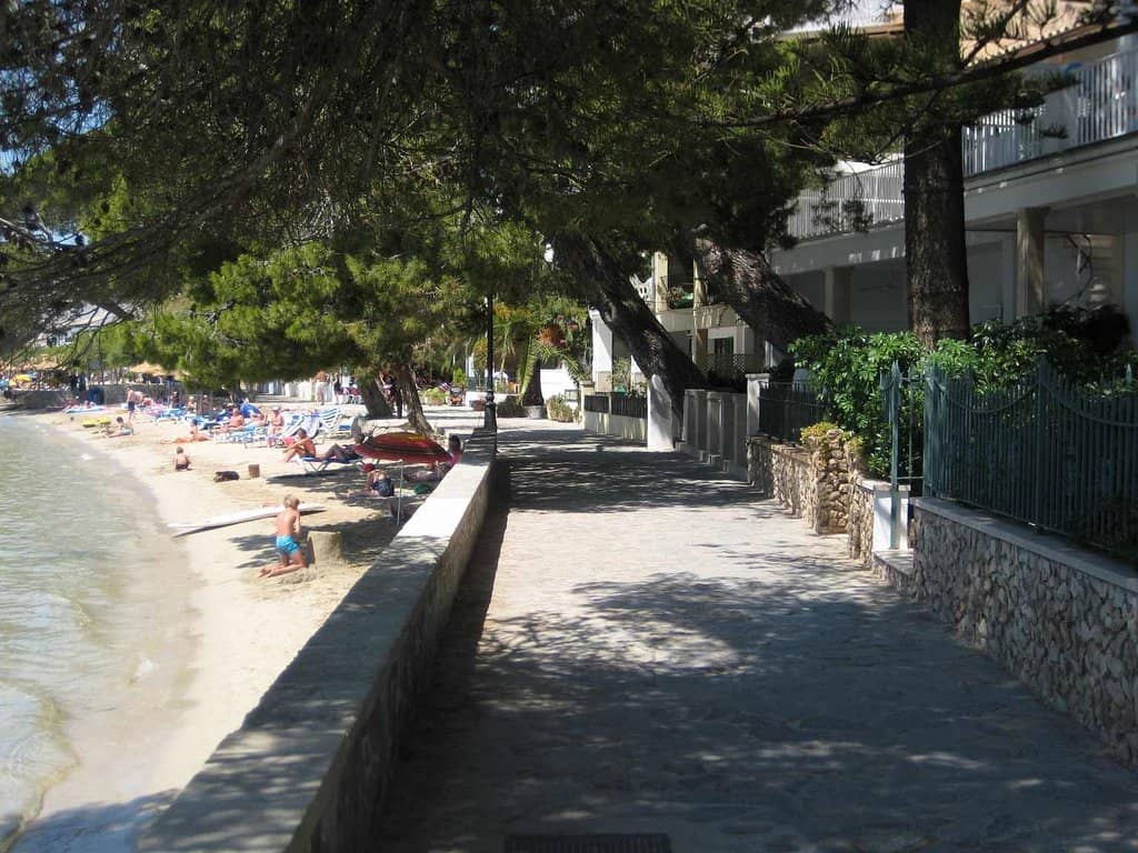 The Iconic Pine Walk