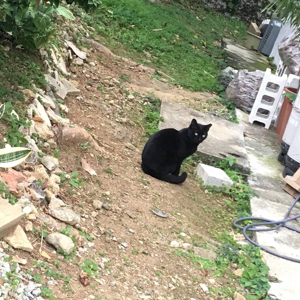 Chic Boutiques & Craft Shops