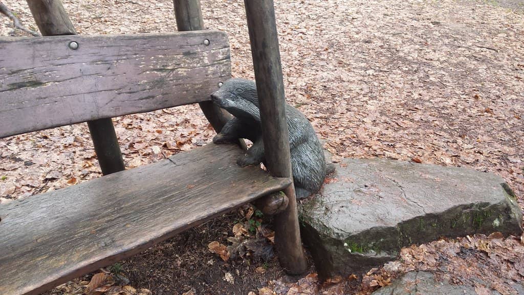 Panoramic City Views