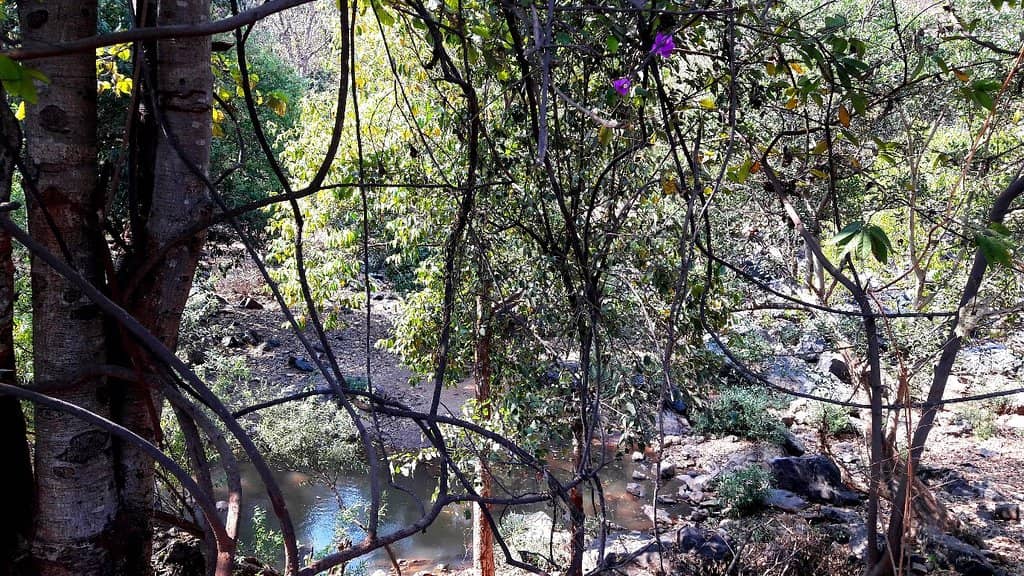 Scenic Ghats Drive