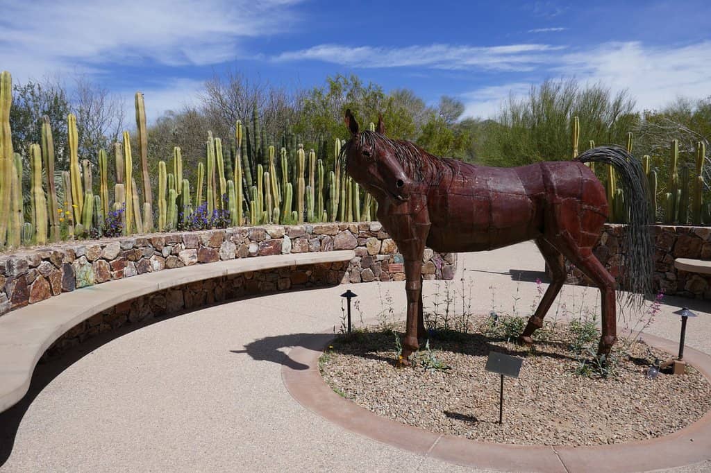 Children's Museum & Play Area