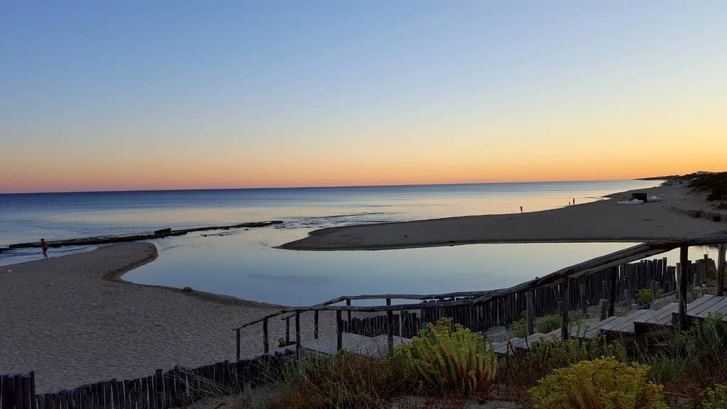 Snorkeling in Protected Waters