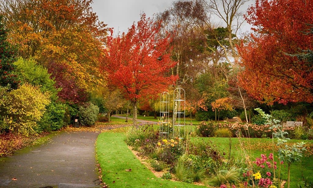 Autumn colour