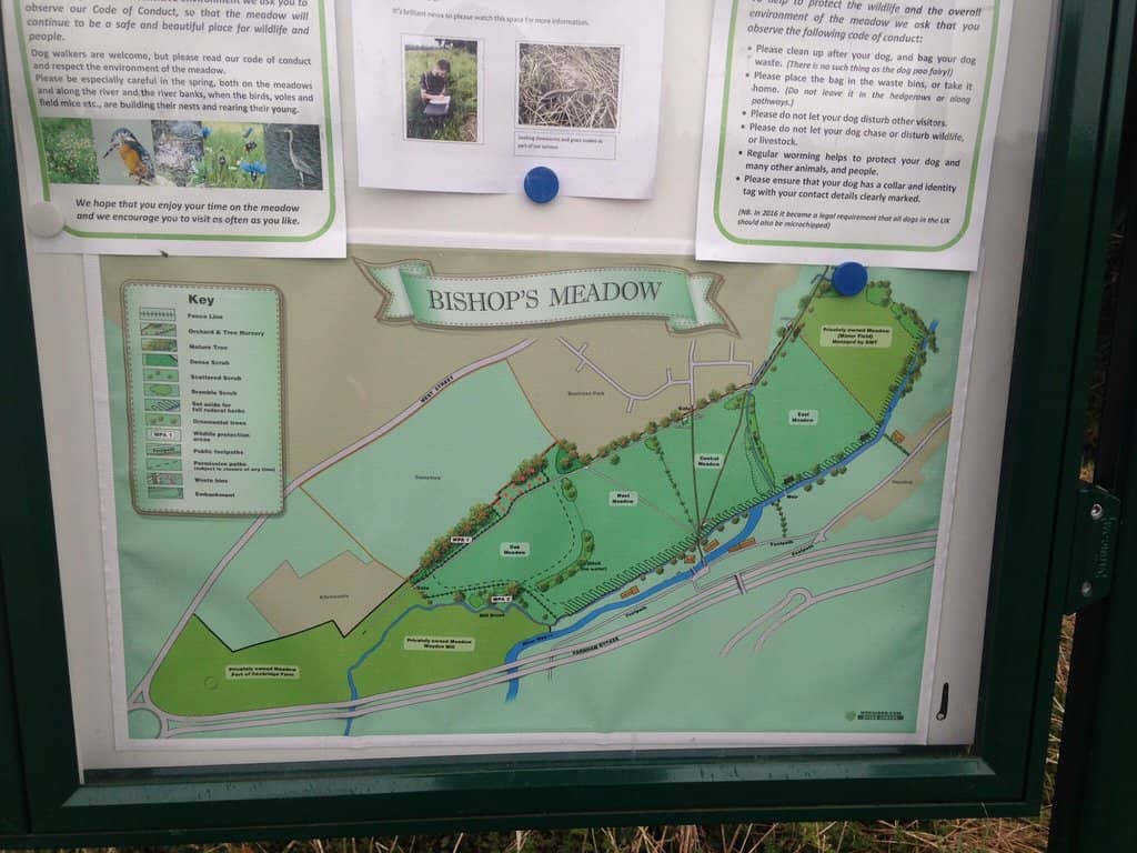 Nature's Tranquility