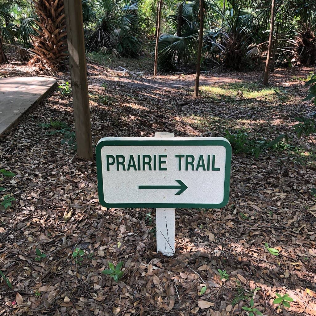 Scenic Forest Trails