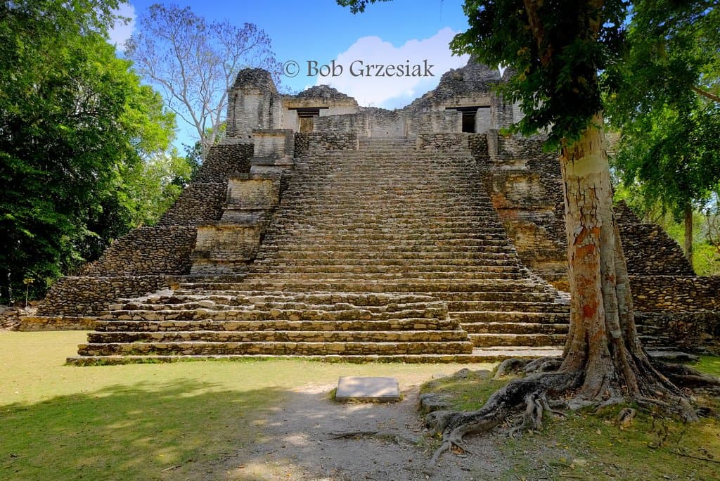 We only saw 8 moire people than this at these locations!