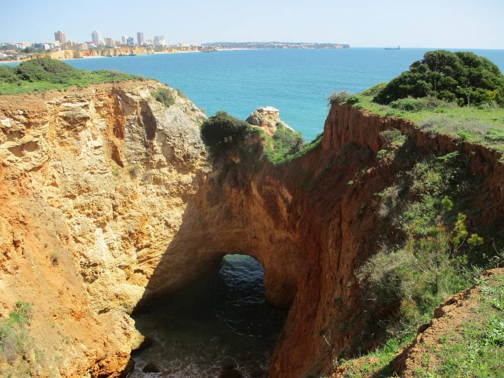 Vertical photo