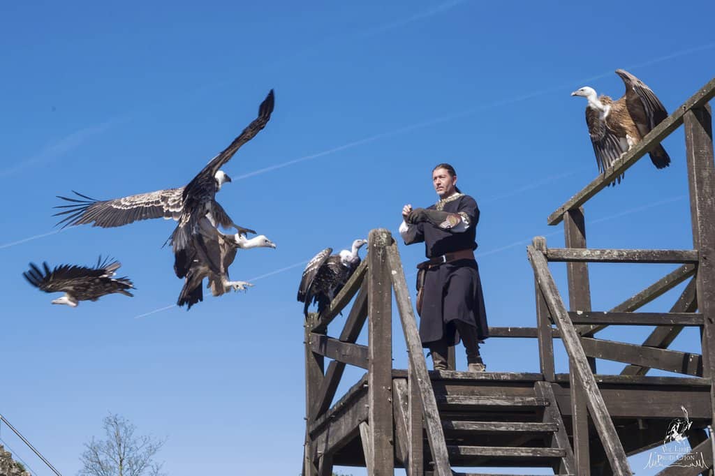 Medieval Spectacle