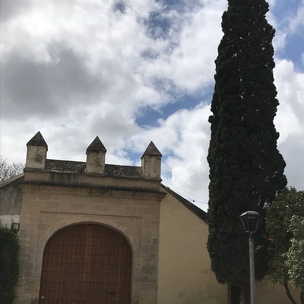 The Cloister