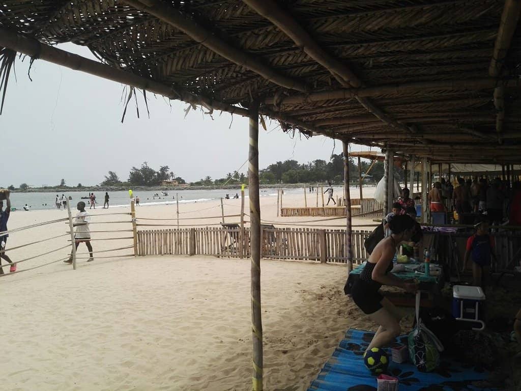 Surfing Opportunities