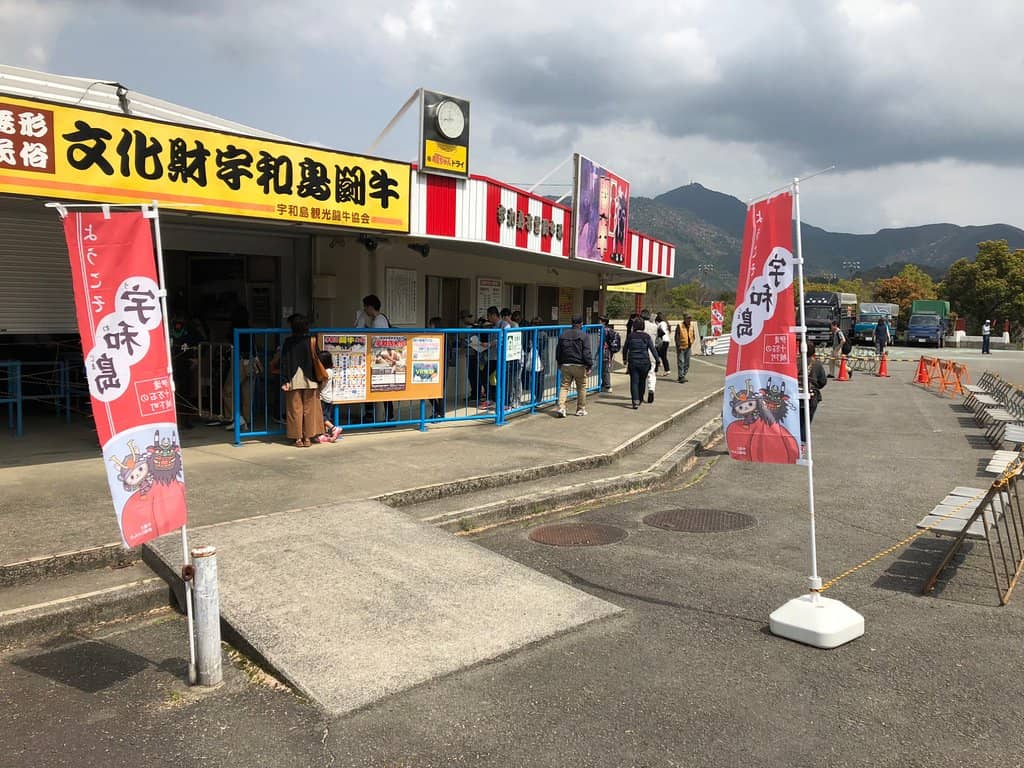 Tournament Matches