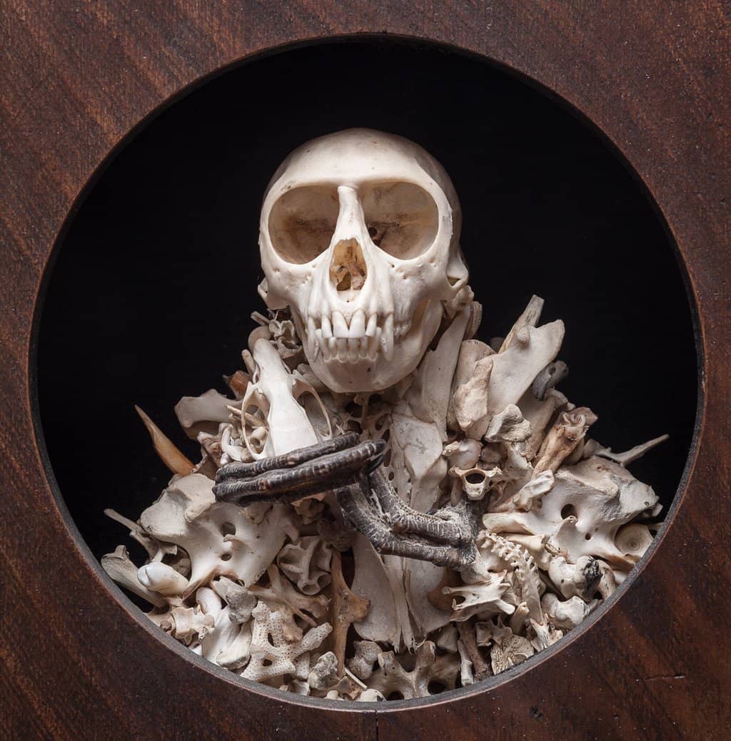 Cabinet of Curiosities