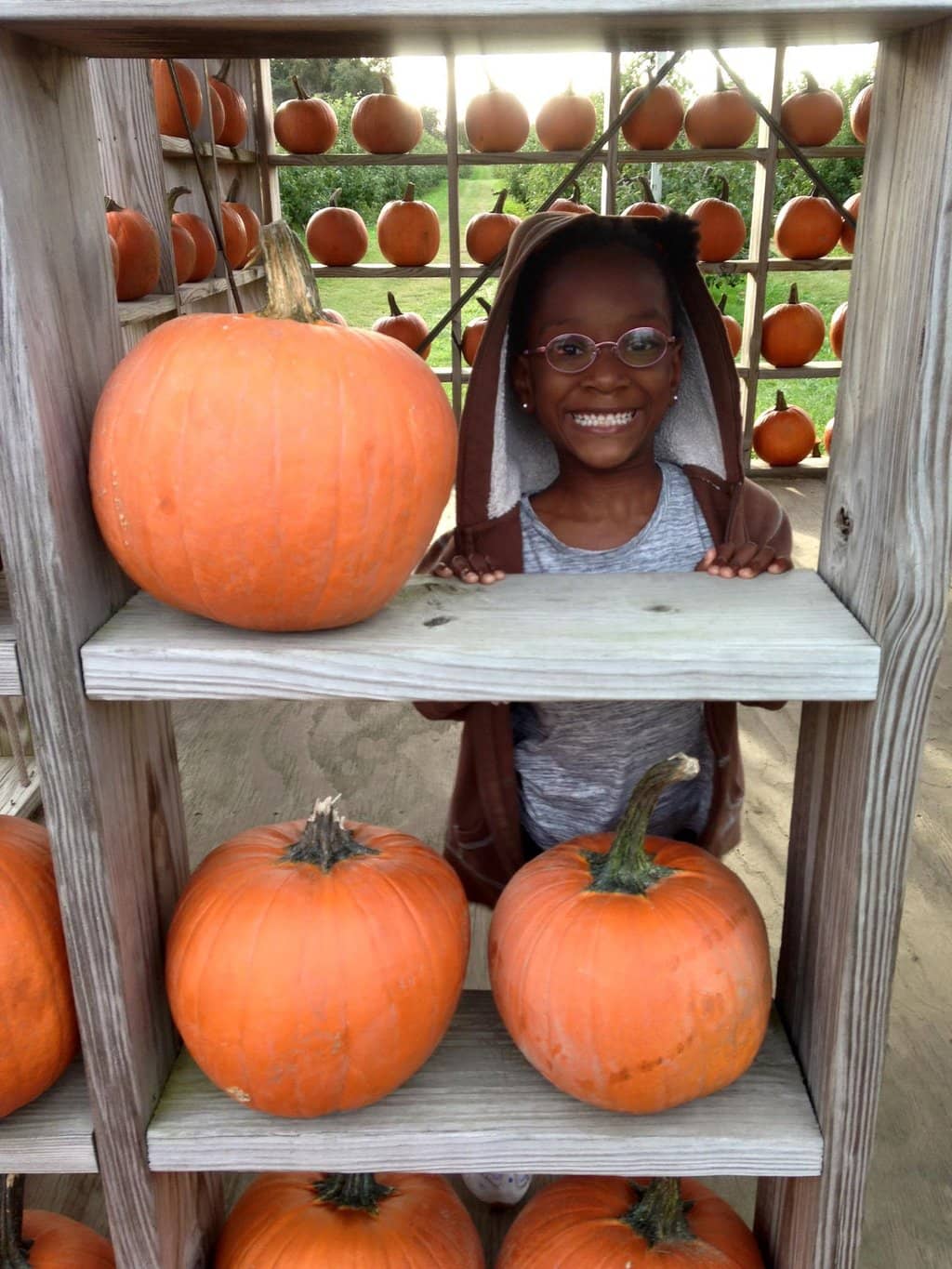 Cherry & Peach Picking