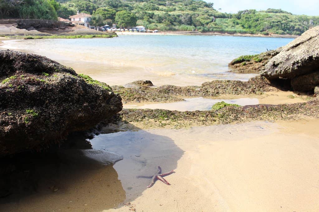 Praia da Ferradura